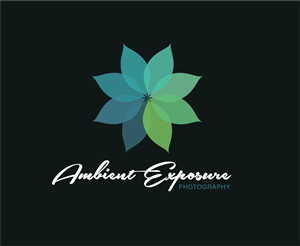Logo Design by designedbykyle for Ambient Exposure Photography | Design: #1758031
