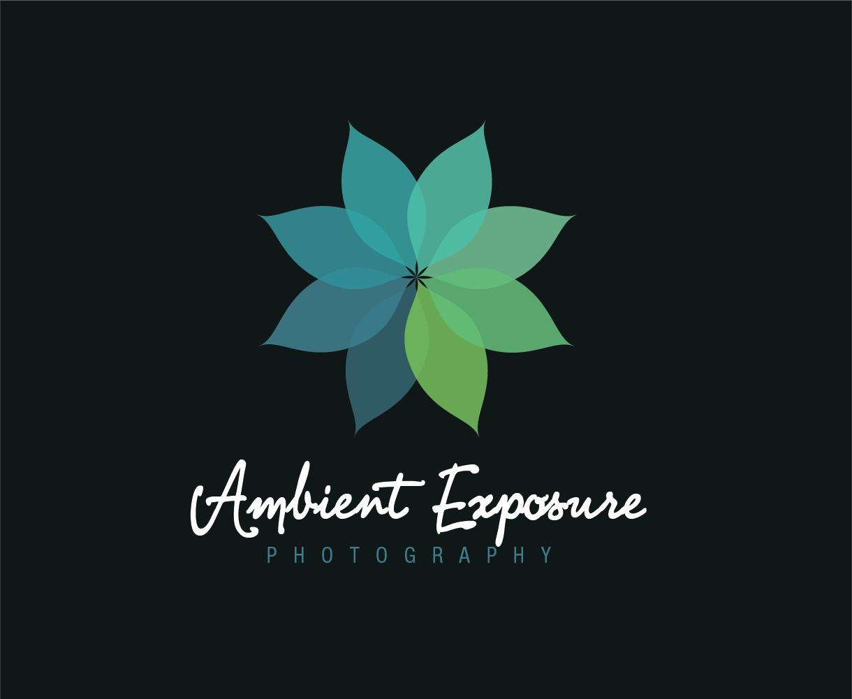 Logo Design by designedbykyle for Ambient Exposure Photography | Design #1758043