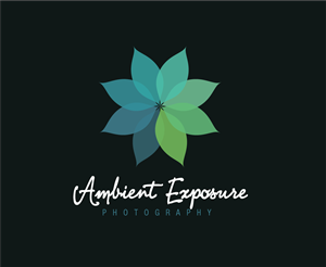 Logo Design by designedbykyle for Ambient Exposure Photography | Design: #1758043