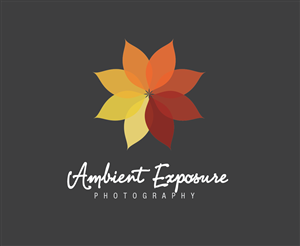 Logo Design by designedbykyle for Ambient Exposure Photography | Design: #1758044