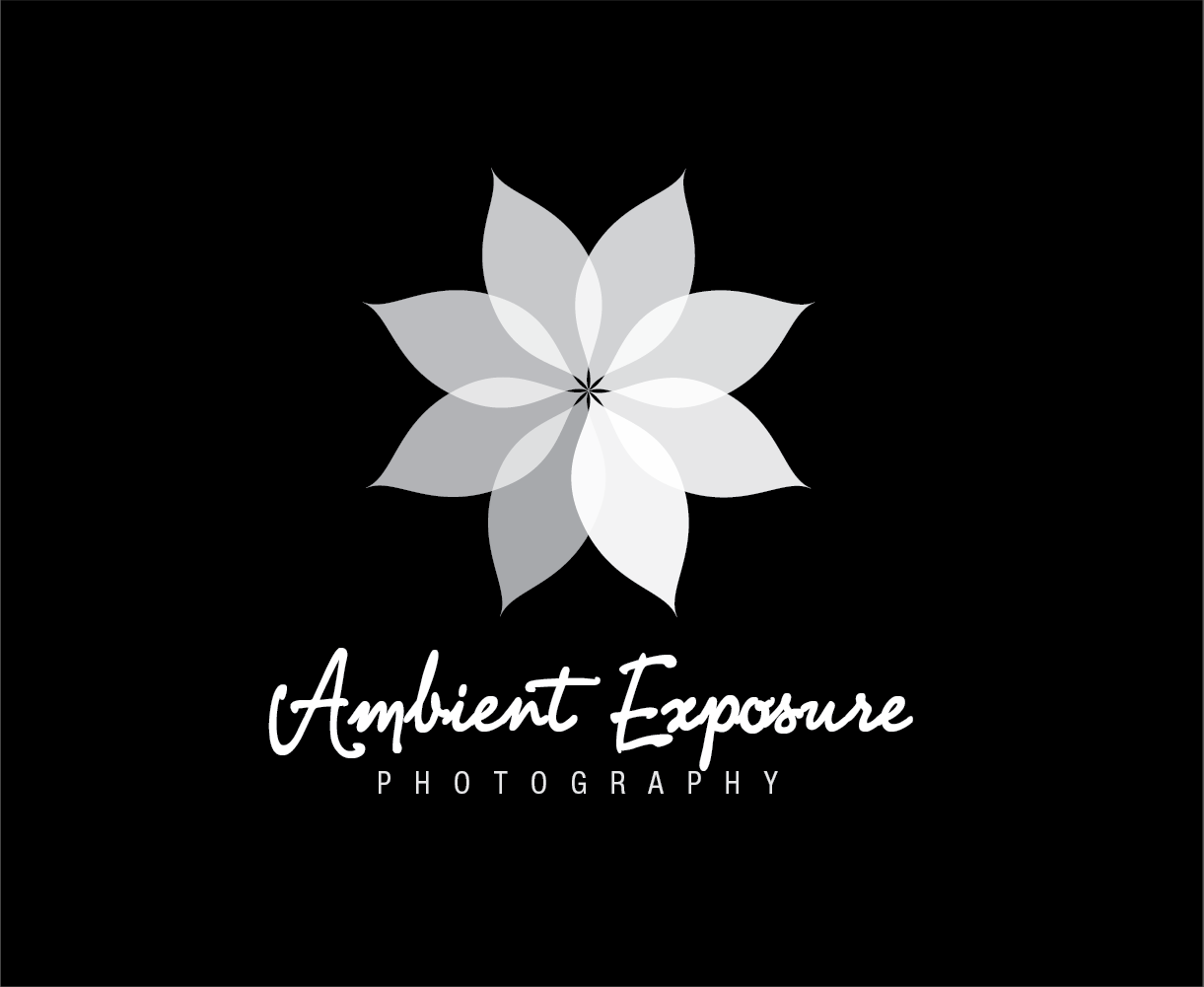 Logo Design by designedbykyle for Ambient Exposure Photography | Design #1758046
