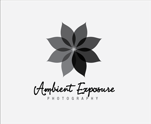 Logo Design by designedbykyle for Ambient Exposure Photography | Design: #1758048