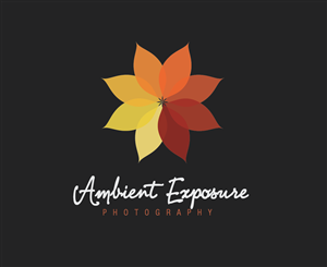 Logo Design by designedbykyle for Ambient Exposure Photography | Design: #1762434