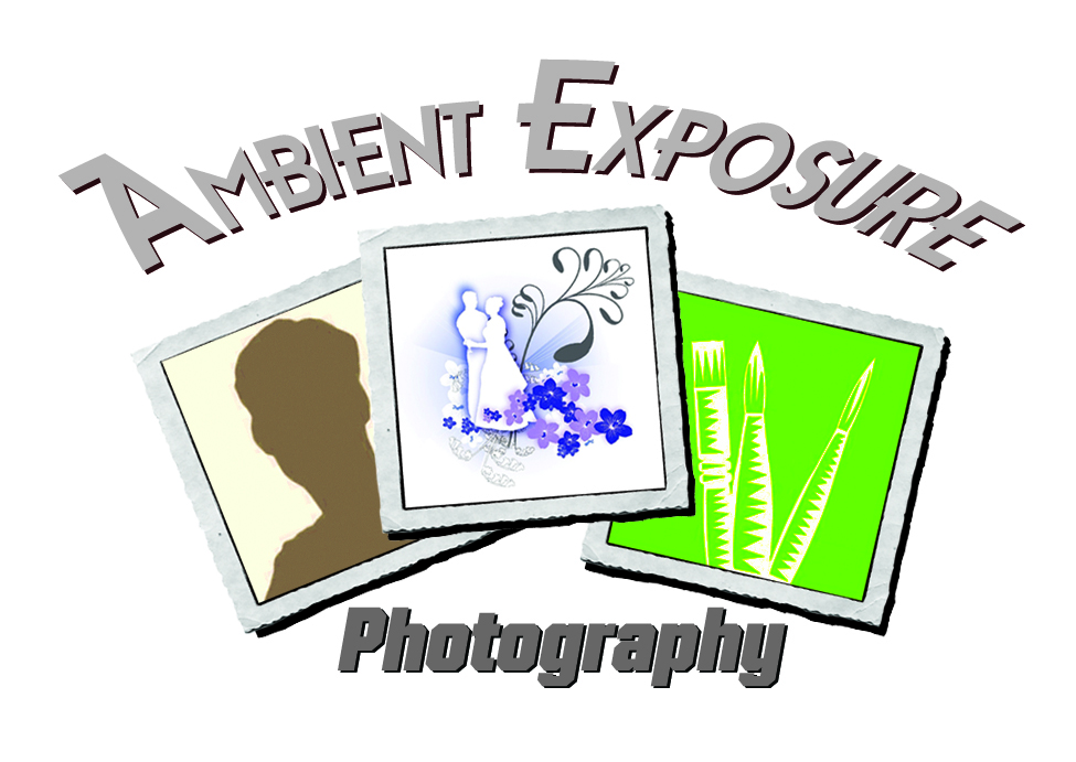 Logo Design by Zarsya Syakri for Ambient Exposure Photography | Design #1745860