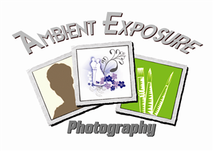 Logo Design by Zarsya Syakri for Ambient Exposure Photography | Design: #1745860