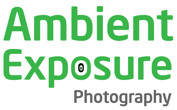 Logo Design by  a4advt for Ambient Exposure Photography | Design #1742848
