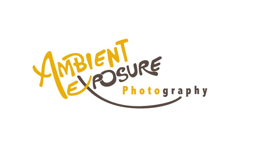 Logo Design by MasDJ for Ambient Exposure Photography | Design #1747973