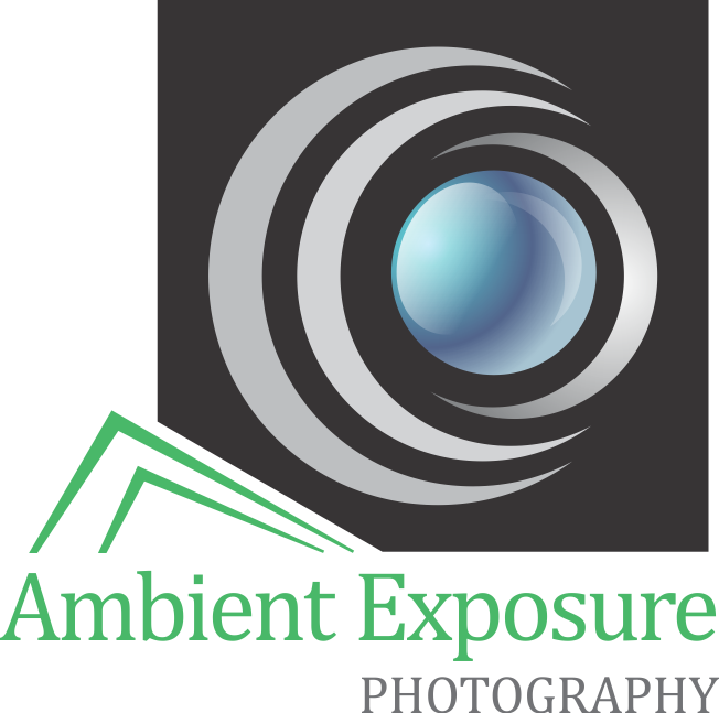 Logo Design by visual for Ambient Exposure Photography | Design #1737700
