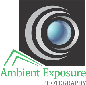 Logo Design by visual for Ambient Exposure Photography | Design: #1737700