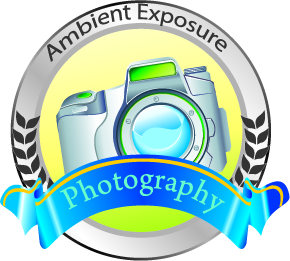 Logo Design by aakz for Ambient Exposure Photography | Design #1746321