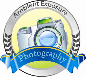 Logo Design by aakz
