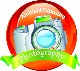 Diseño de Logo por aakz para Ambient Exposure Photography | Diseño #1746384