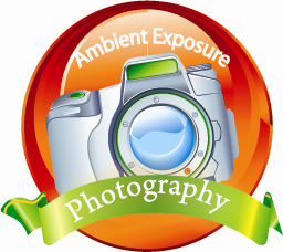 Logo Design by aakz for Ambient Exposure Photography | Design: #1746384