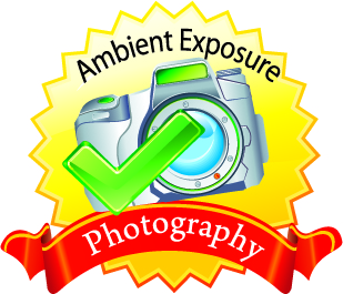 Logo Design by aakz for Ambient Exposure Photography | Design #1746416