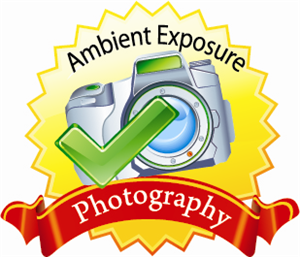 Logo Design by aakz for Ambient Exposure Photography | Design: #1746416