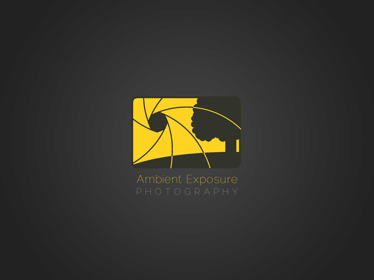 Logo Design by Seamus Radu for Ambient Exposure Photography | Design #1756315