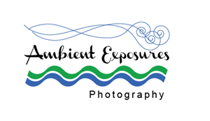 Logo Design by adriana for Ambient Exposure Photography | Design: #1743555
