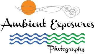Logo Design by adriana for Ambient Exposure Photography | Design #1743556