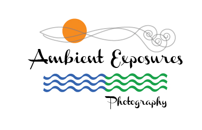 Logo Design by adriana for Ambient Exposure Photography | Design #1743558