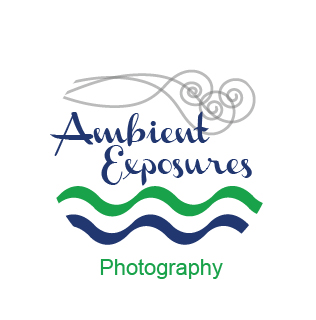 Logo Design by adriana for Ambient Exposure Photography | Design #1743559