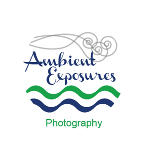Logo Design by adriana for Ambient Exposure Photography | Design: #1743559