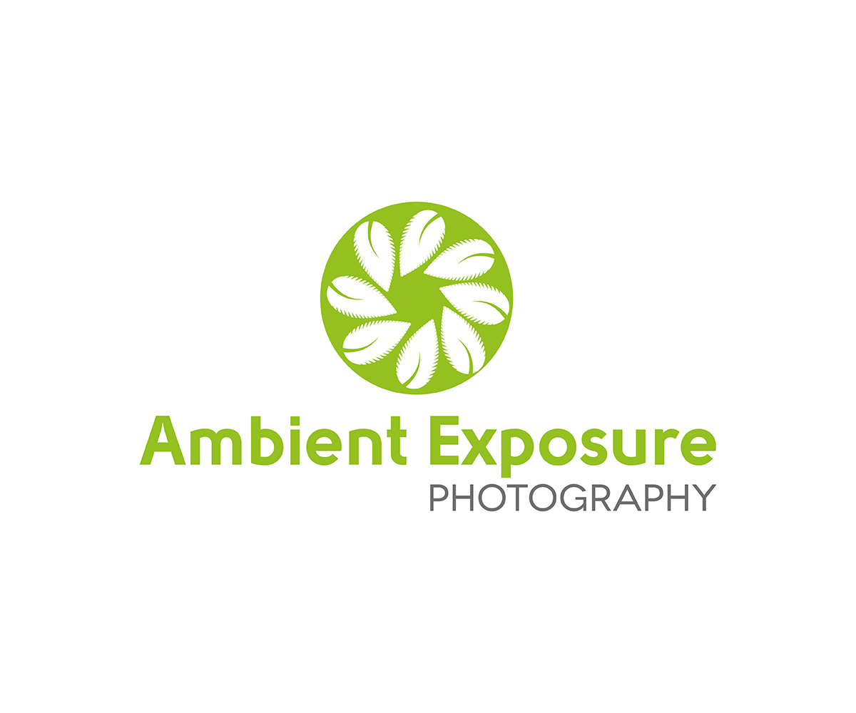 Logo Design by Carla T. for Ambient Exposure Photography | Design #1732184
