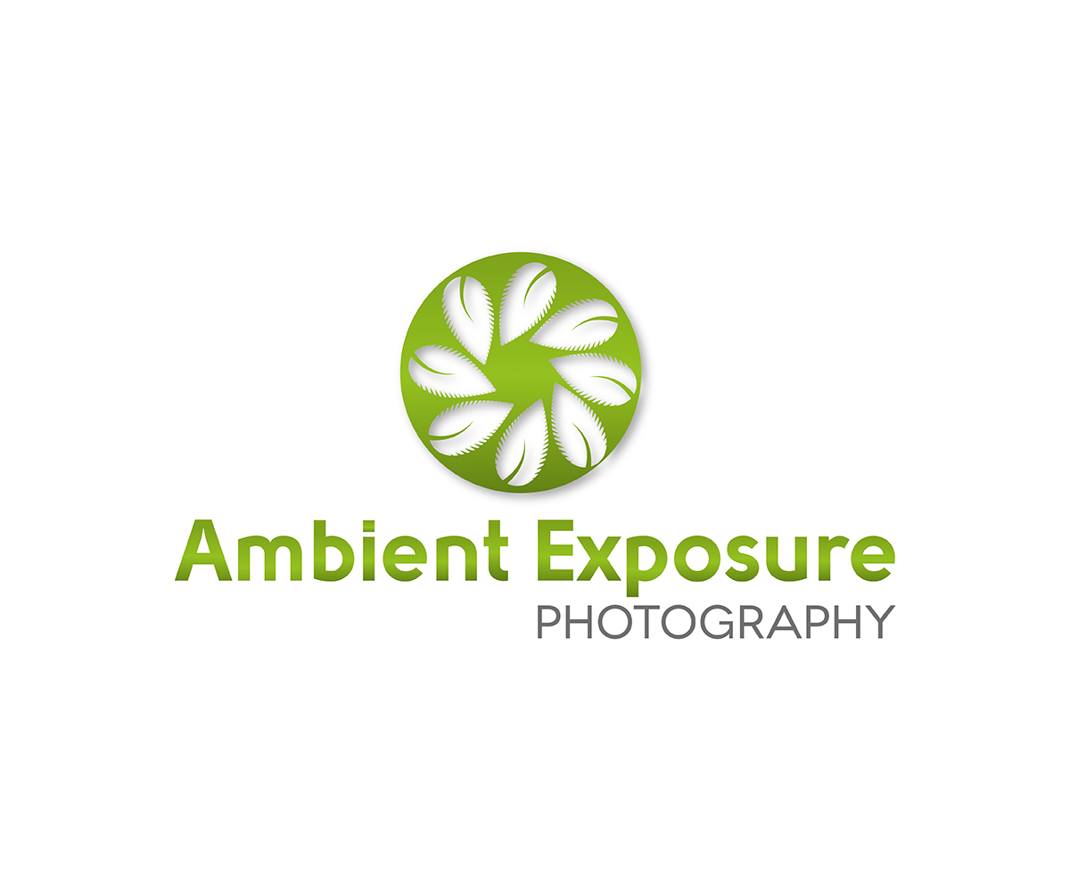 Logo Design by Carla T. for Ambient Exposure Photography | Design #1742034