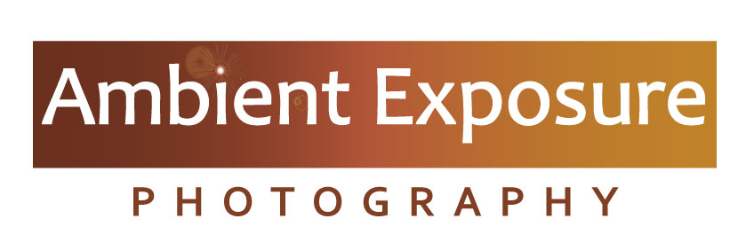 Design de Logo par wmcool pour Ambient Exposure Photography | Design #1730187