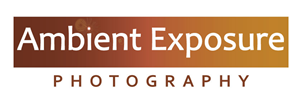 Logo Design by wmcool for Ambient Exposure Photography | Design: #1730187