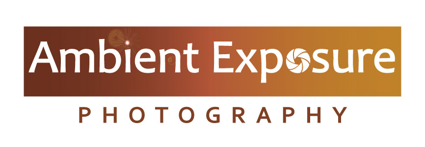 Logo Design by wmcool for Ambient Exposure Photography | Design #1730189
