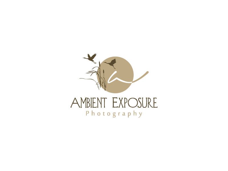 Logo Design by DicéArt for Ambient Exposure Photography | Design #1729601