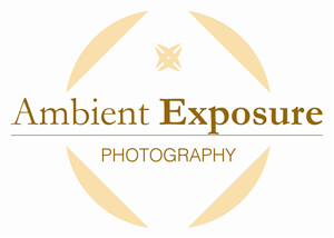 Logo Design by CjRue