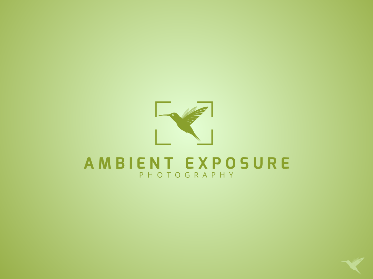 Logo Design by mo0x for Ambient Exposure Photography | Design #1743875