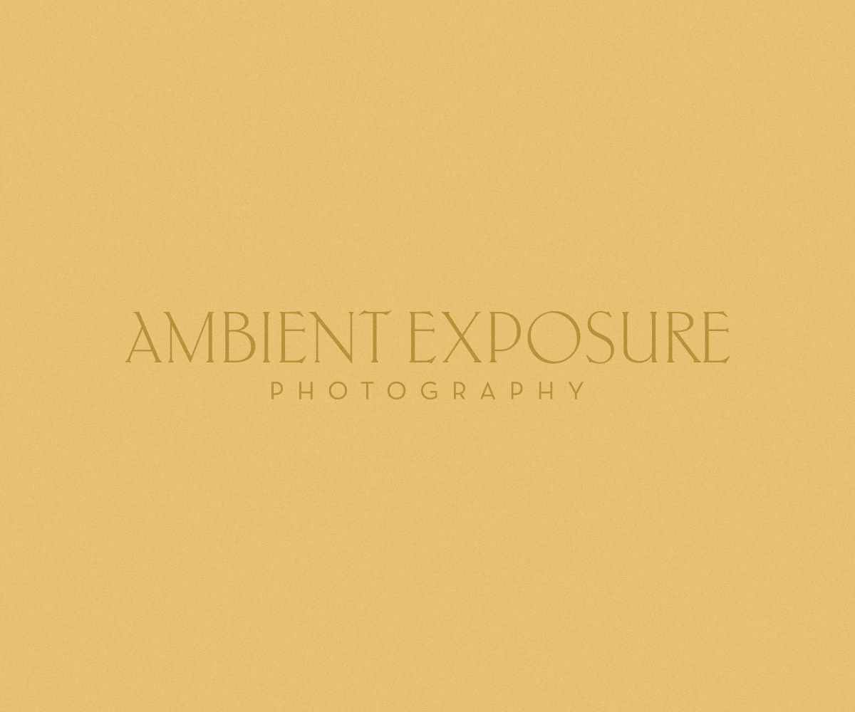 Logo Design by Nikolay Vanchev for Ambient Exposure Photography | Design #1752380