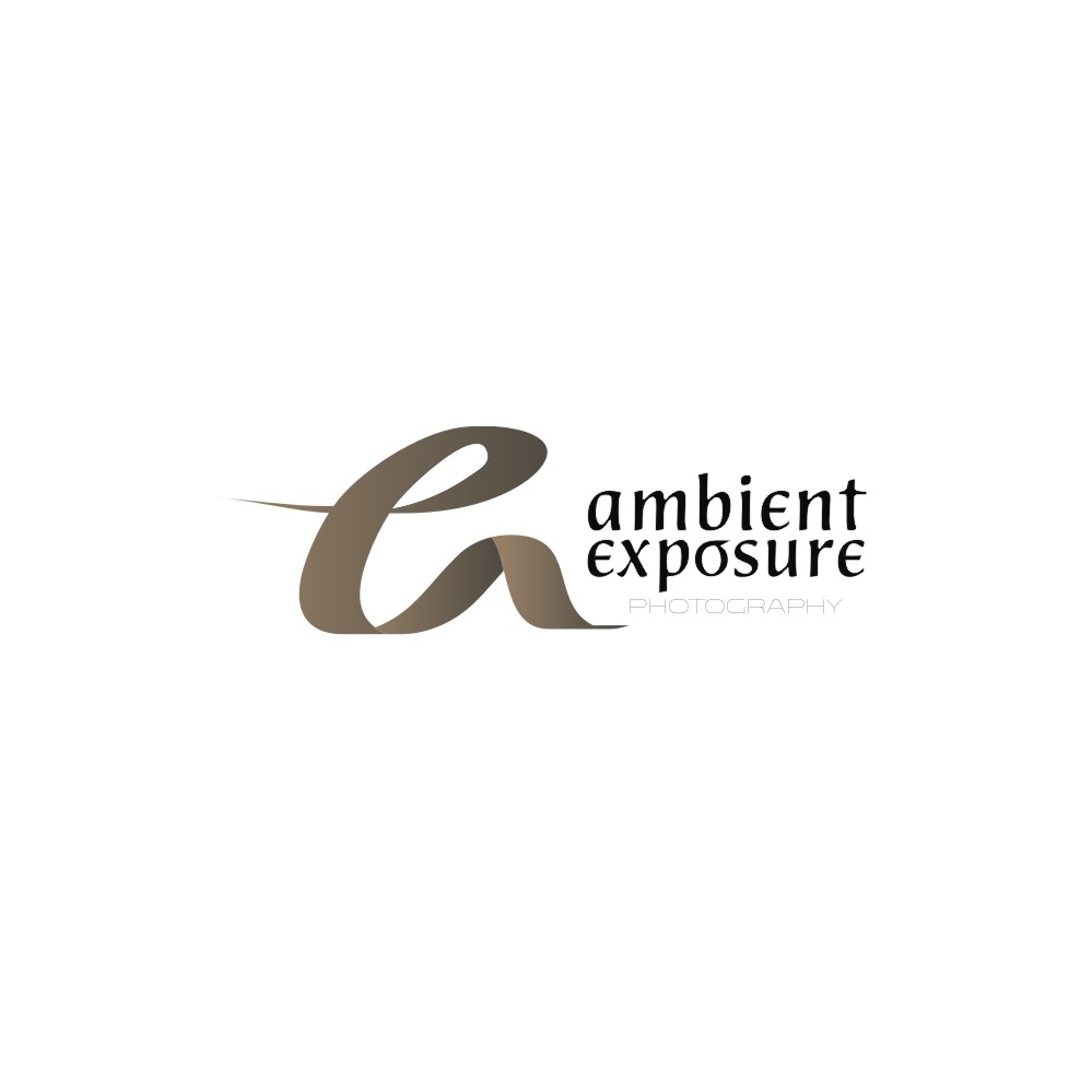 Logo Design by Sid Pandey for Ambient Exposure Photography | Design #1763864