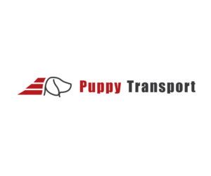 Logo Design by WimpyWimpWimp