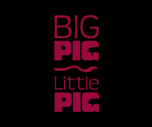 Logo Design by Rollover