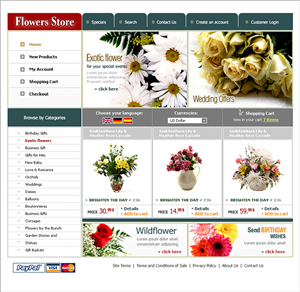 Web Design by Rosc