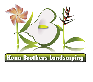 Logo-Design von Adroit Design für dieses Projekt | Design #1740424
