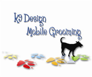 Logo Design by sn00py