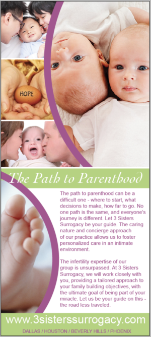 Single Page Brochure for Infertile Couples