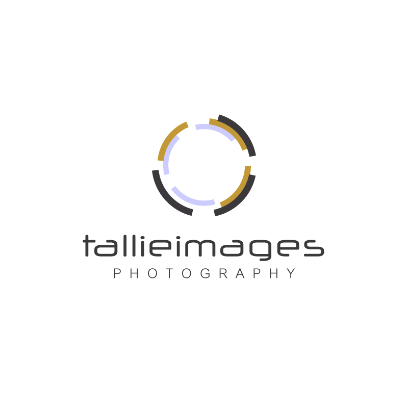 Logo Design by madartnyc for tallieimages photography | Design #1786696