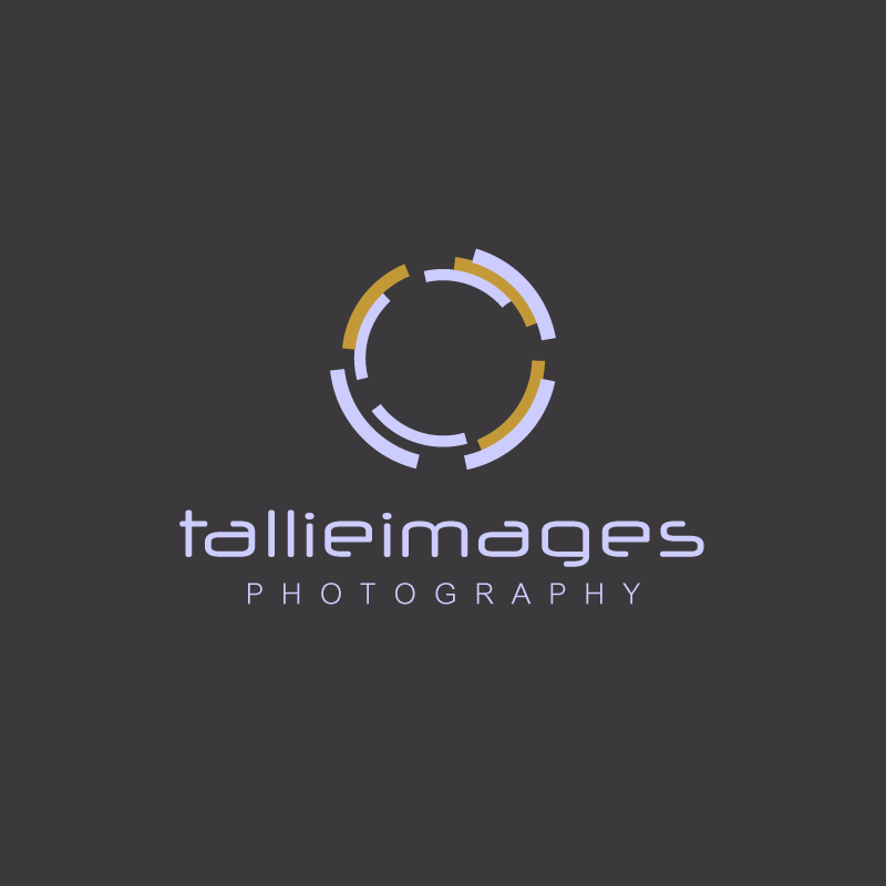 Logo Design by madartnyc for tallieimages photography | Design #1786700