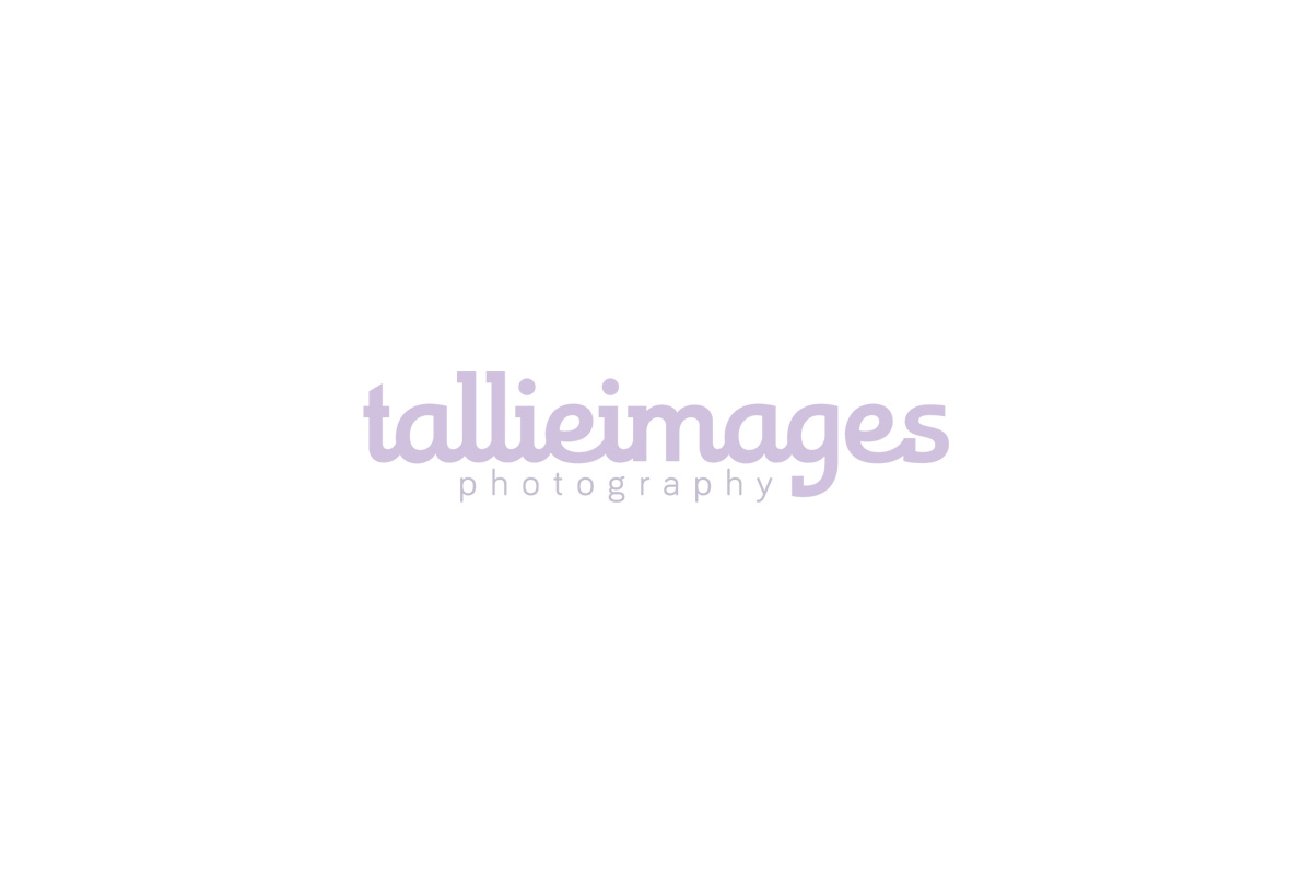 Logo Design by PaddyMcGrath for tallieimages photography | Design #1774044