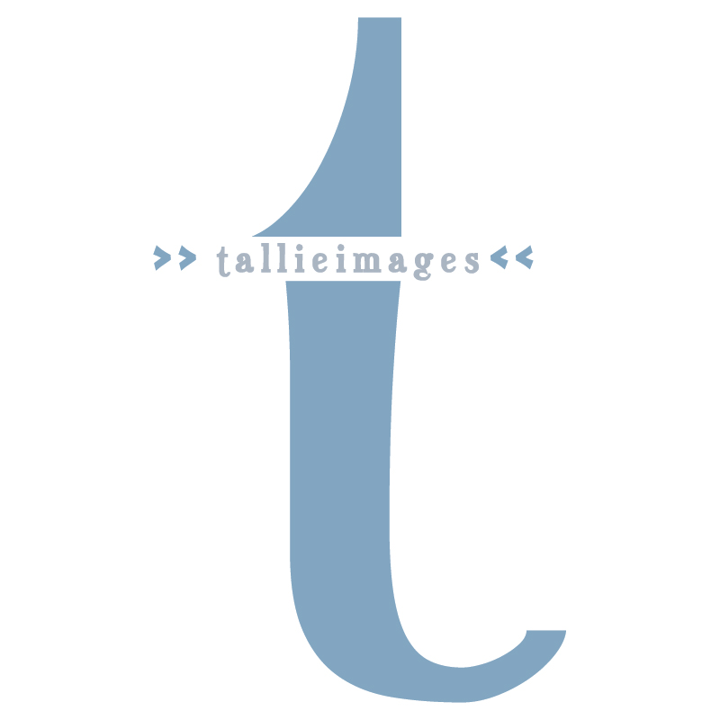Logo Design by hollisita for tallieimages photography | Design #1753992