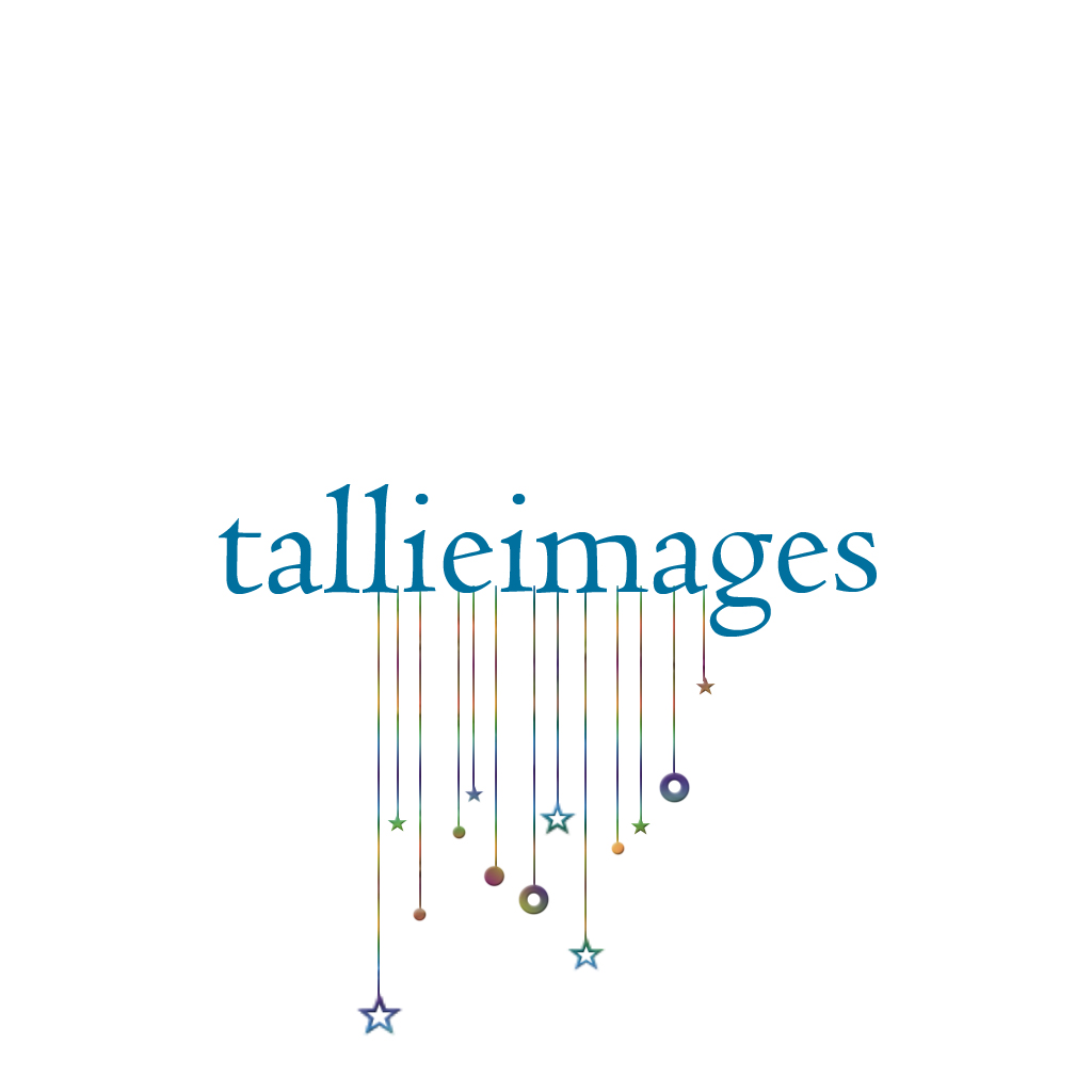 Design de Logo par BabyBruja pour tallieimages photography | Design #1772720