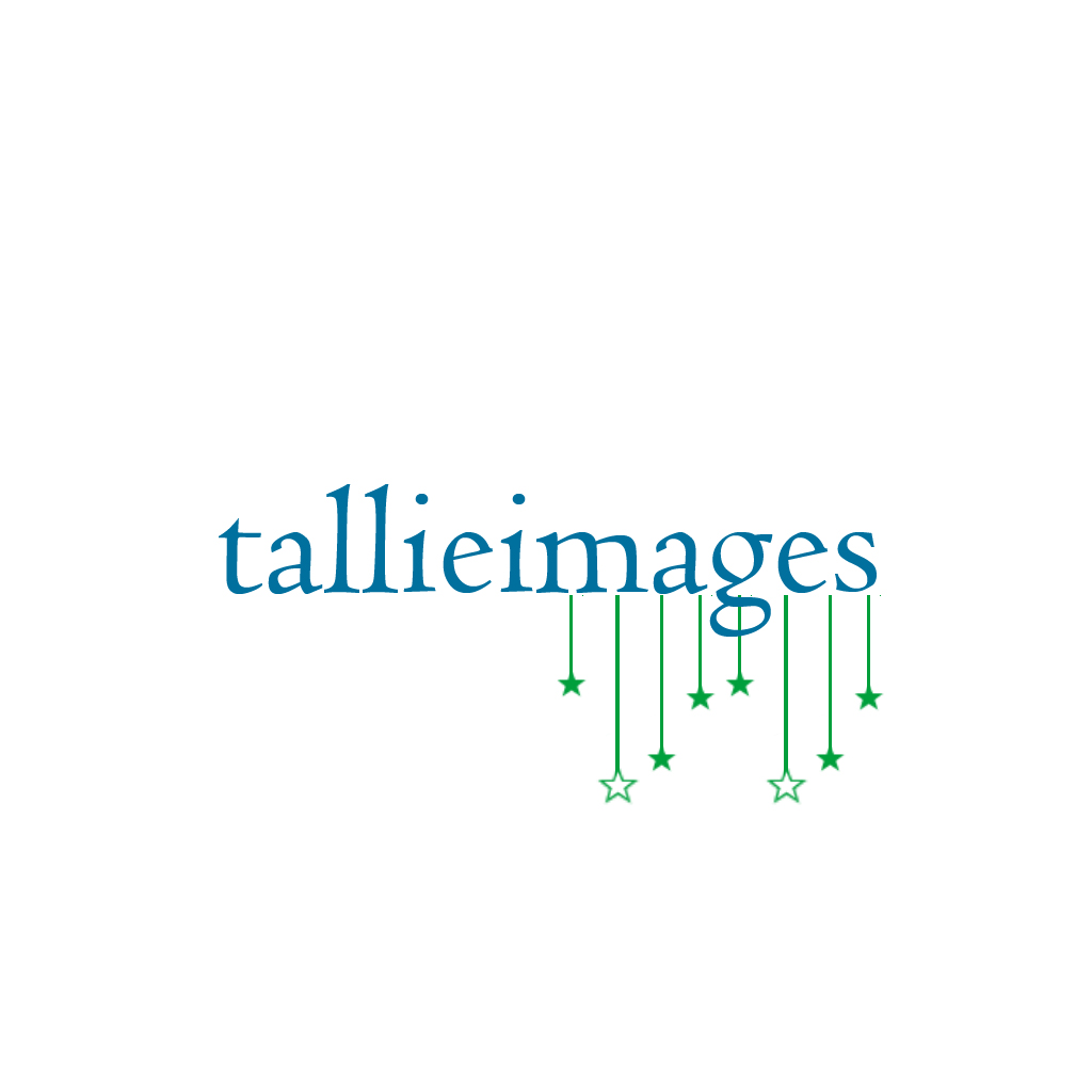 Design de Logo par BabyBruja pour tallieimages photography | Design #1772725