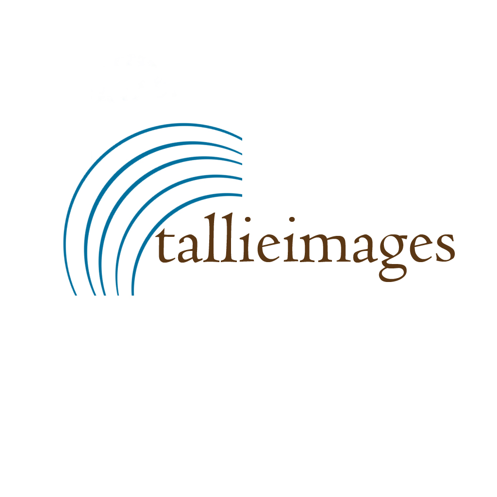 Design de Logo par BabyBruja pour tallieimages photography | Design #1772730