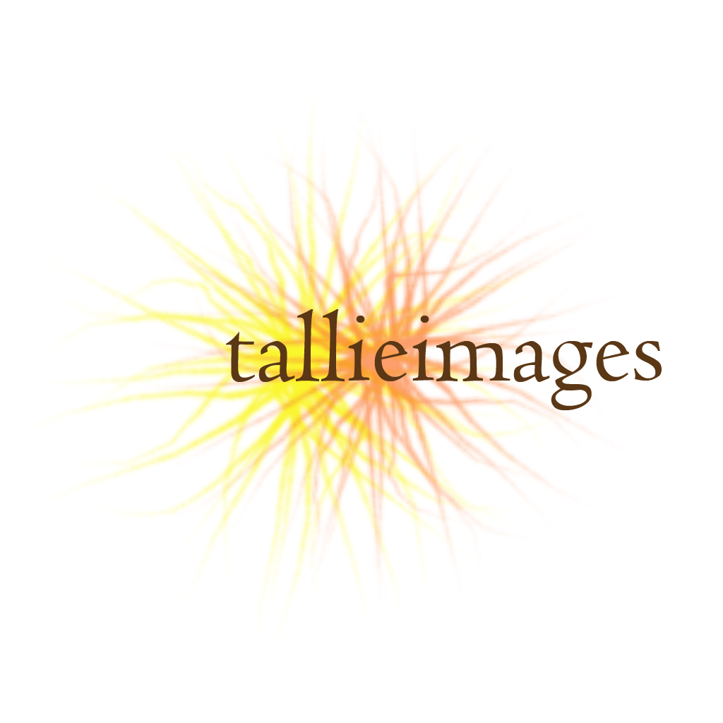 Design de Logo par BabyBruja pour tallieimages photography | Design #1772733