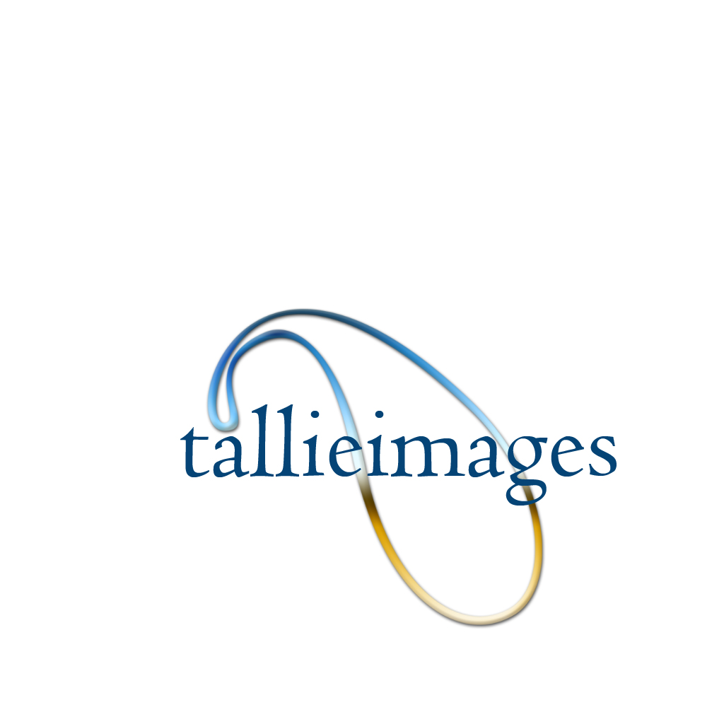 Design de Logo par BabyBruja pour tallieimages photography | Design #1772853